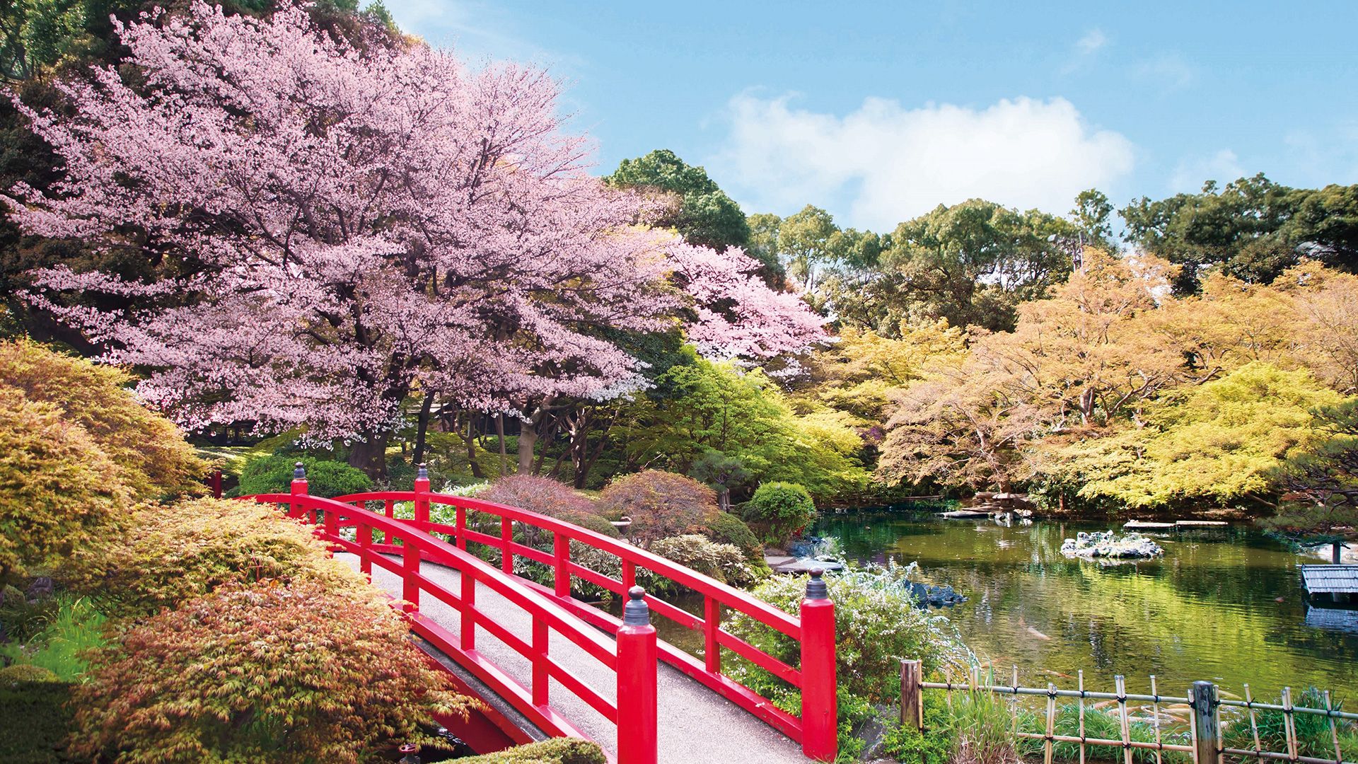 春めく日本庭園でお花見を