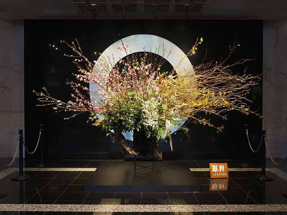 2月 お迎え花